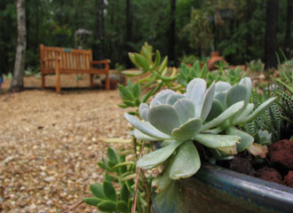 map_11succulent_garden