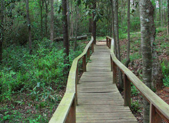 map_15fern_boardwalk