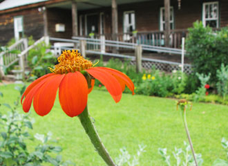 map_2.heirloom_garden