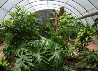 map_3tropical_house