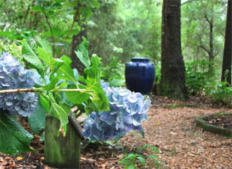 9 Hydrangea Garden Dothan Area Botanical Gardens