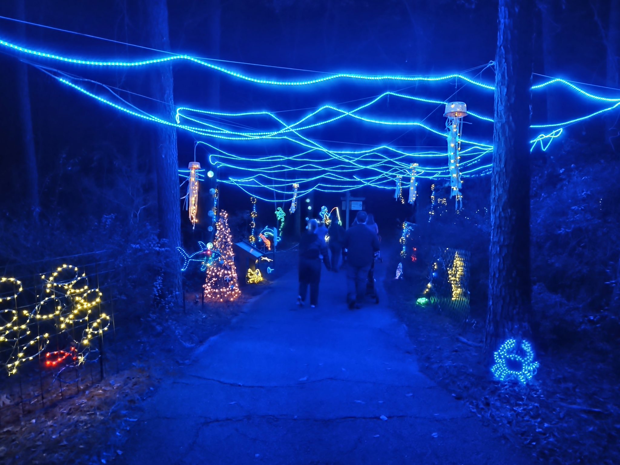 Dothan area botanical gardens christmas lights
