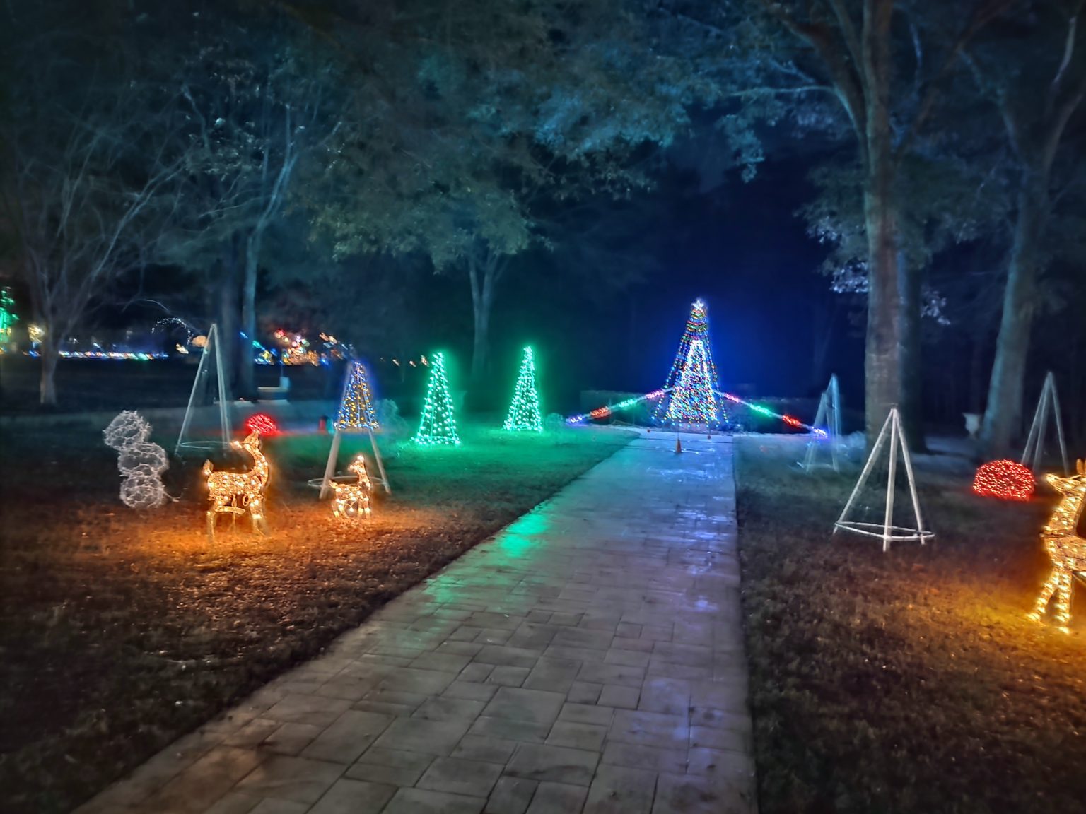 Dothan area botanical gardens christmas lights