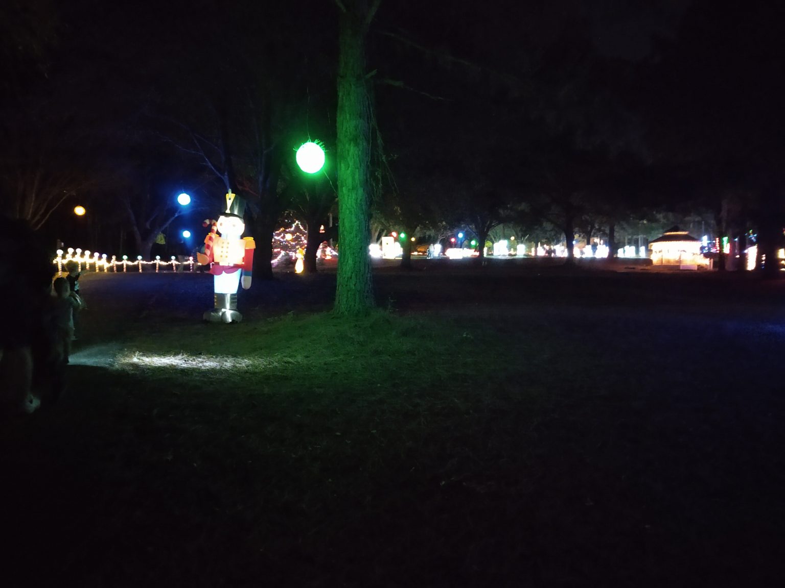 Dothan area botanical gardens christmas lights